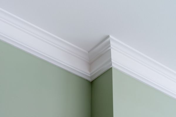 Molding Repair